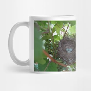 Nest in the Riesling - Magpie Springs - Adelaide Hills Wine Region - Fleurieu Peninsula - Winery Mug